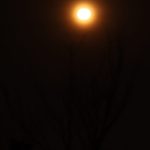 Illuminate Your Space with the Nordic Simple Lunar Eclipse Wall Lamp