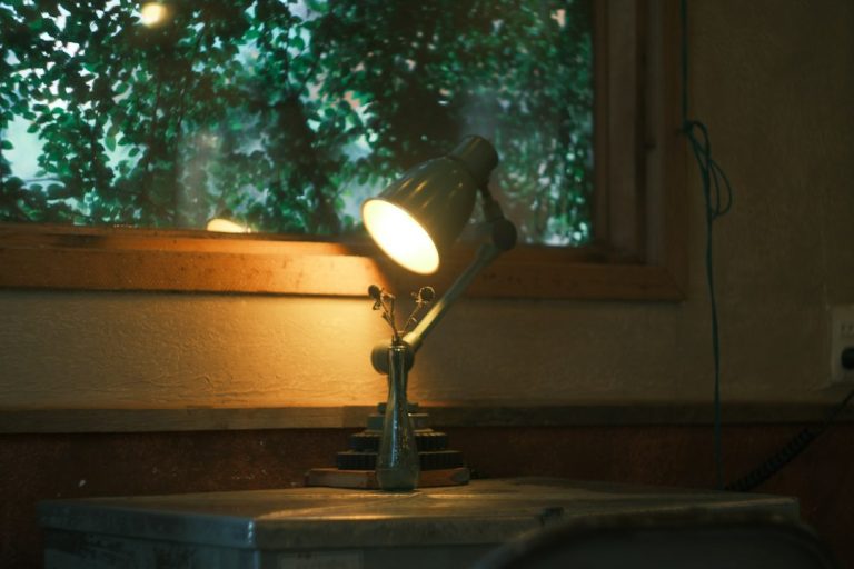 Cozy Reading Nook Ideas: Minimal Profile Vanity Lights for Ambiance